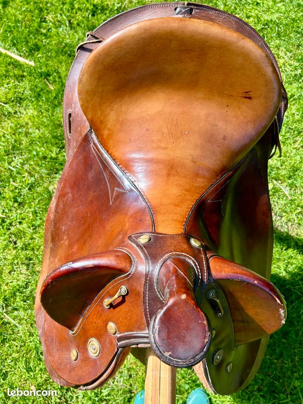 Selle australienne (image 4)