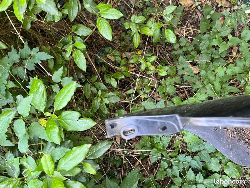 Pare choc arrière de peugeot 206 + (image 3)