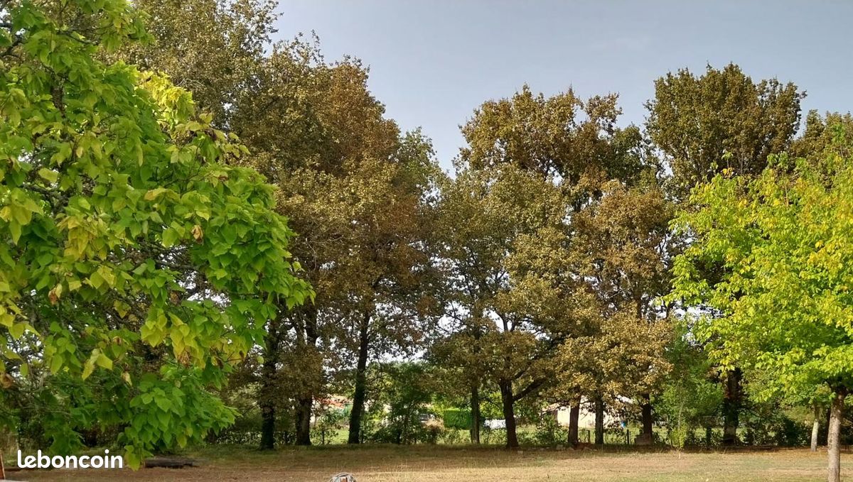 Terrain 900 m² · à Saint-Vivien-de-Médoc · 65 000 €