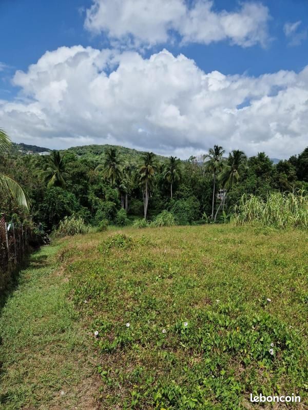 Terrain 2 004 m² Ducos (image 1)