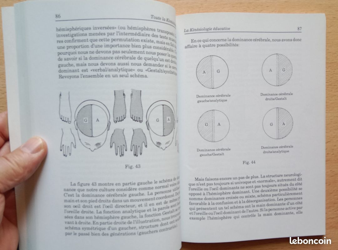 Toute la kinésiologie - Freddy Potschka (image 5)