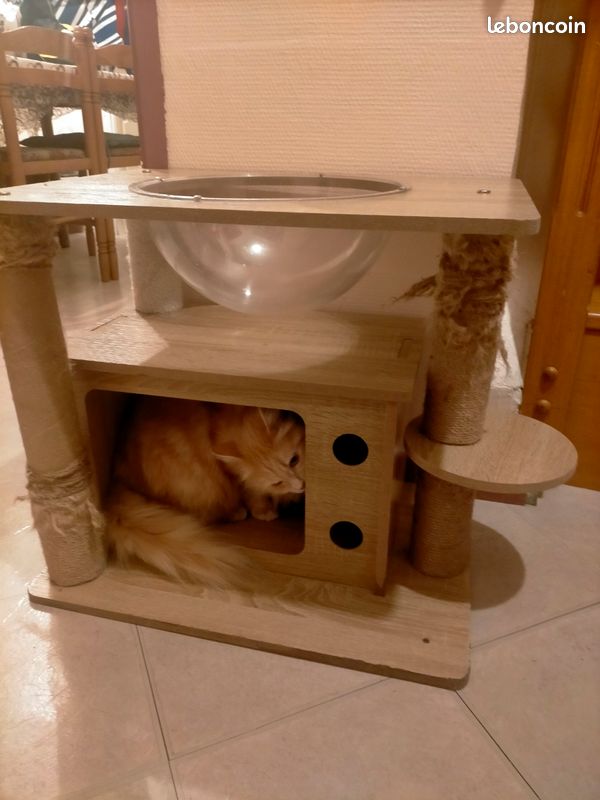 Arbre à chat niche en bois avec griffoir (image 1)