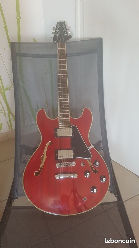 Aria Pro II Es 335 hollow body TA 40 WR (image 1)