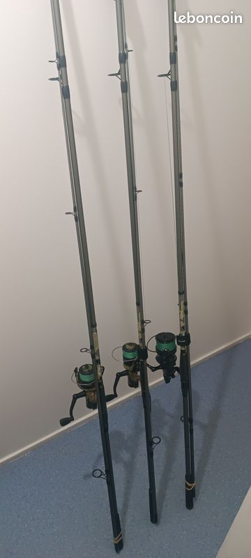 Ensemble Sert Combo Carp Instinct 12' + Moulinet HRS 601 Fd | Pacific Pêche