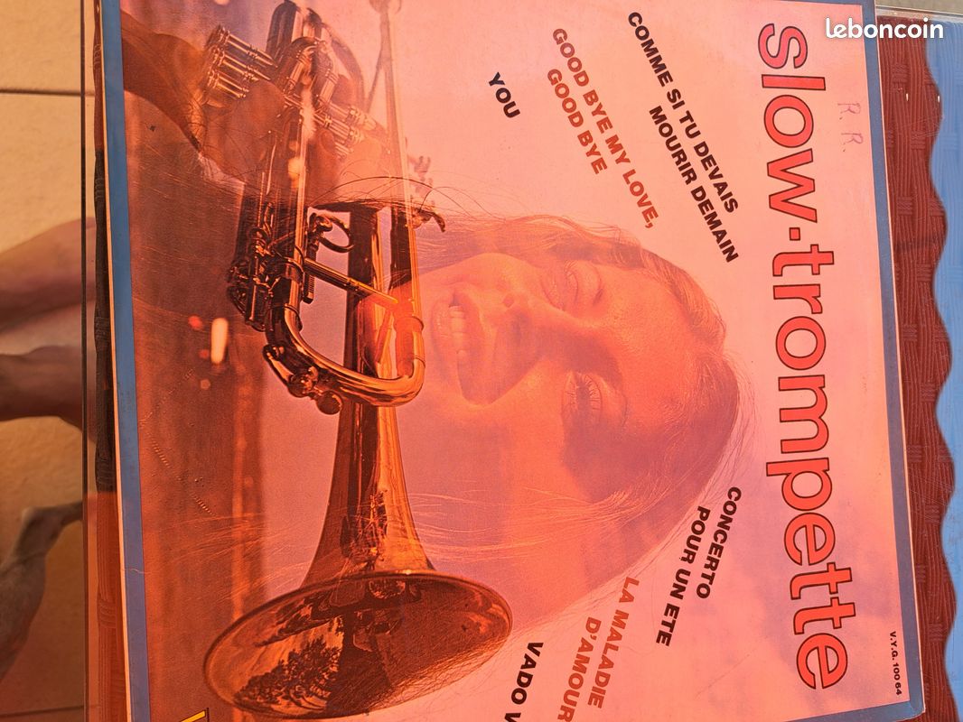 Vinyle 33 tour (image 1)