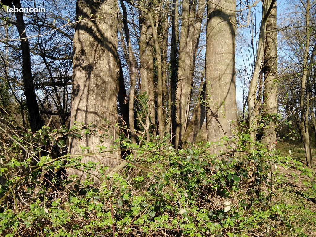 Plusieurs parcelles de bois · à Saint-Just-de-Claix · 10 000 €