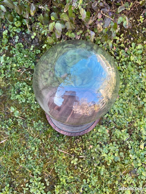 Globe de mariee (image 2)
