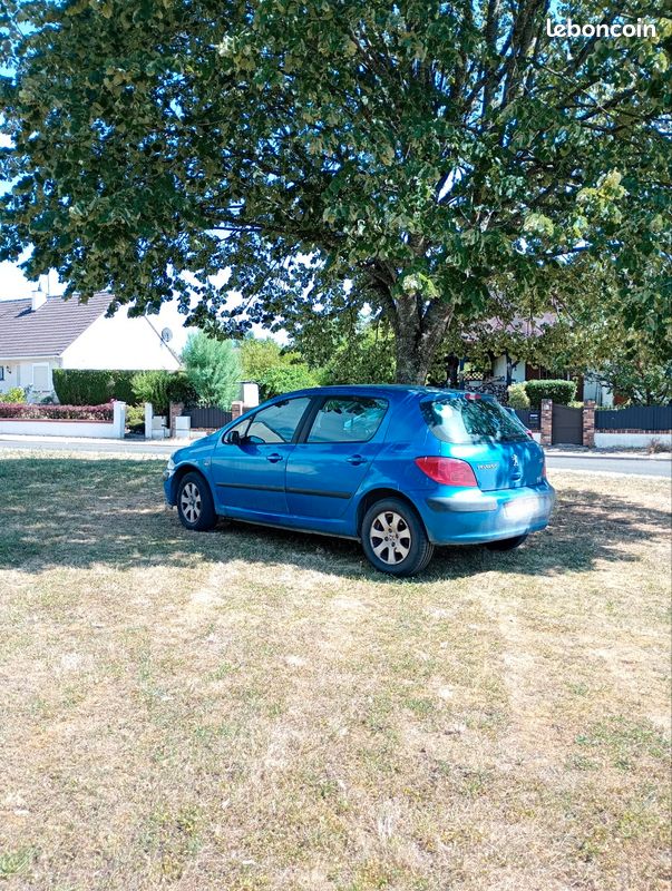 307 ct ok (image 3)