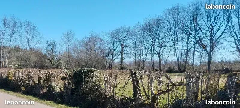 TERRAIN CONSTRUCTIBLE (3000 m²) – Lac de Saint-Agnan à 2,5 km – Morvan · 45 000 €