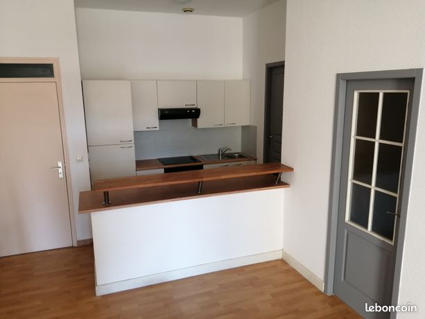 Appartement t3 centre ville avec locataire
