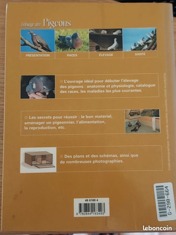 L'élevage des Pigeons (image 2)