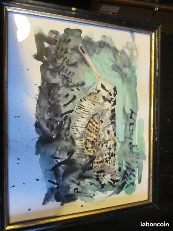 Aquarelle bécasse (image 1)