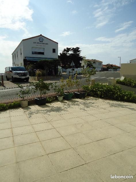 Studio r.d.c. Pour 3 personnes Plage à 50 m (image 4)