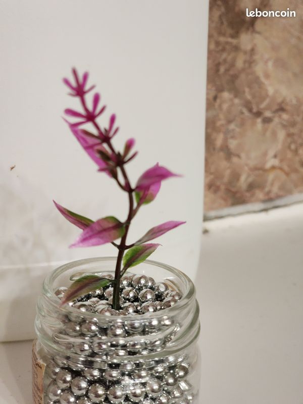 Plante artificielle pour décoration (image 6)