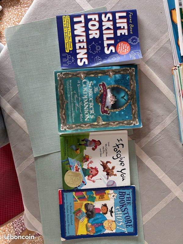 Lot livres enfants en anglais – apprentissage & lecture (image 2)