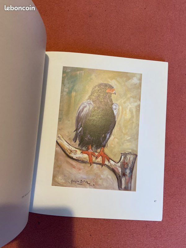 Livre Jacques Birr L’œil et la vie (image 2)