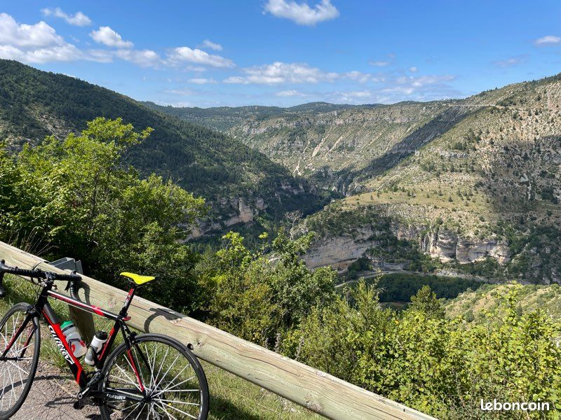 Wilier montegrappa route (image 2)