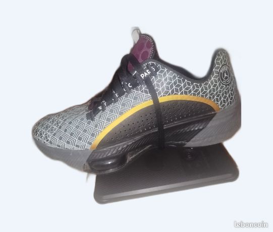 Nike air zoom Renegade psg Chaussures