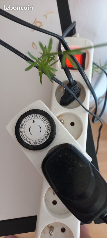 Vends minuteur électrique (image 1)