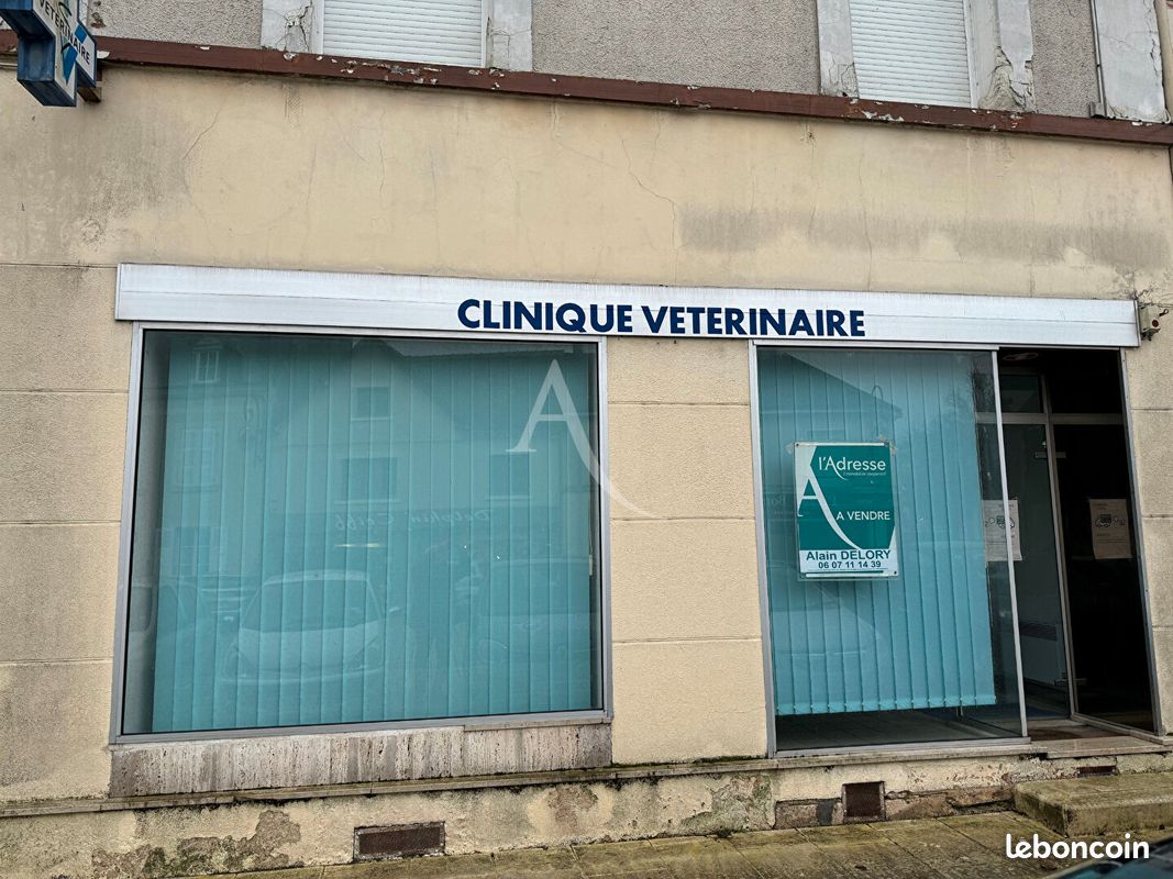 Local commercial 120 m² ROMORANTIN LANTHENAY (image 1)