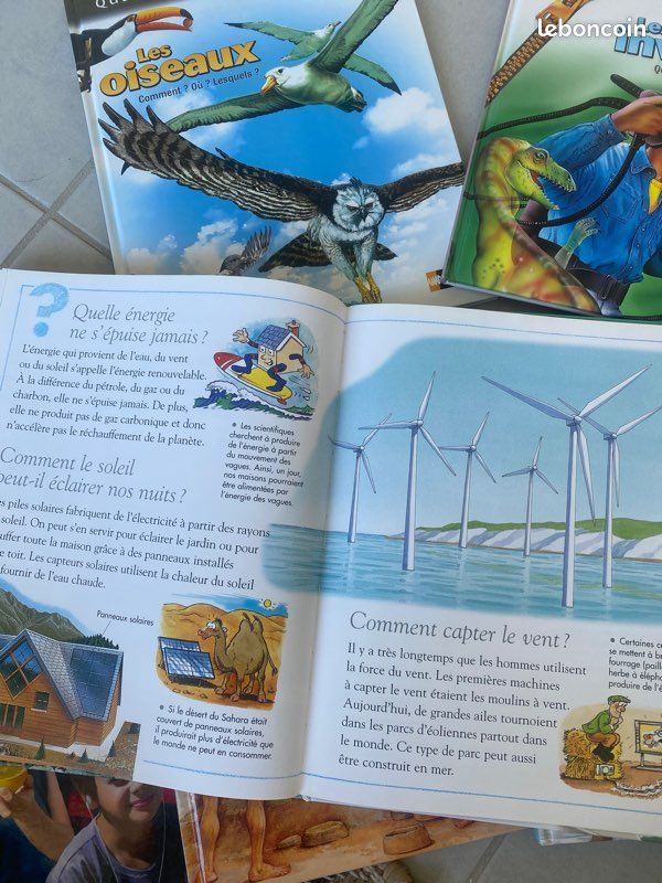 Lot Livres Questions / réponses 6/9ans (image 3)
