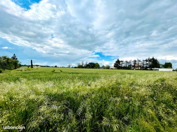 Terrain 8420 m² LATILLE