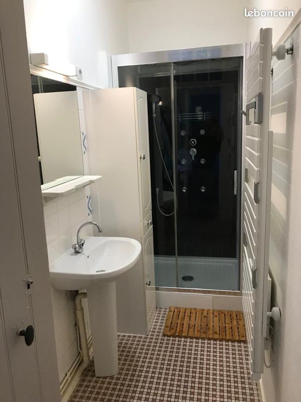 St-emilion/libourne - grand t2 meublé 45m2 - 4 couchages - Saint-Étienne-de-Lisse 33330 Parent (image principale 6)