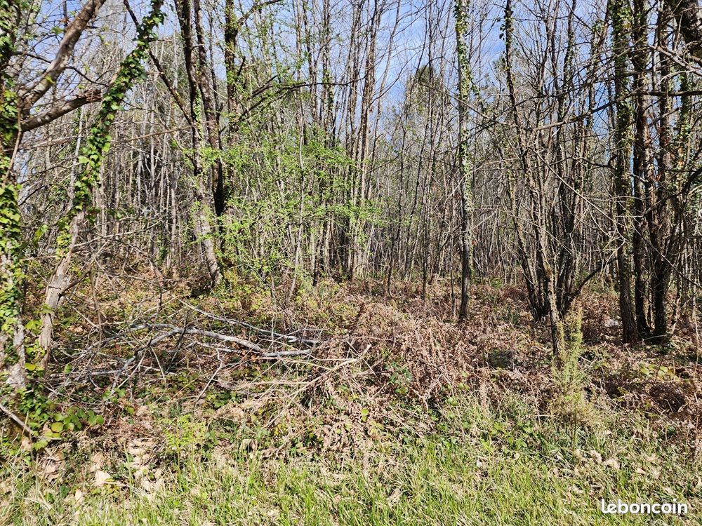 Terrain 1 930 m² Bassillac · à Bassillac Et Auberoche · 24 000 €