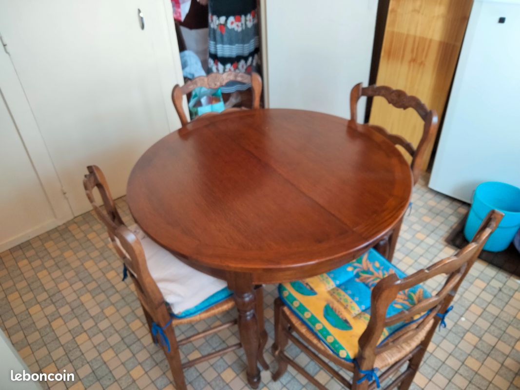 Table + chaises (image 1)