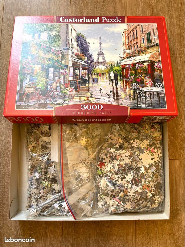 Puzzle 3000 pièces (image 2)