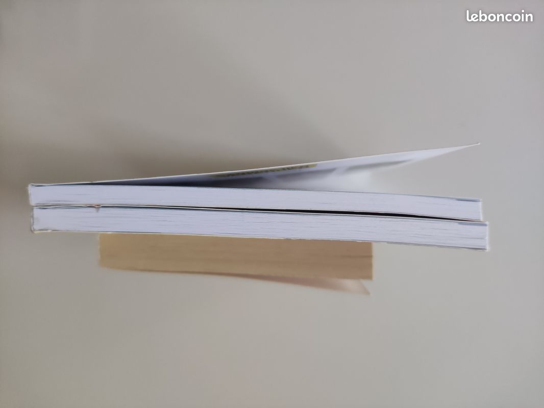 3 livres Anglais et Français (image 3)