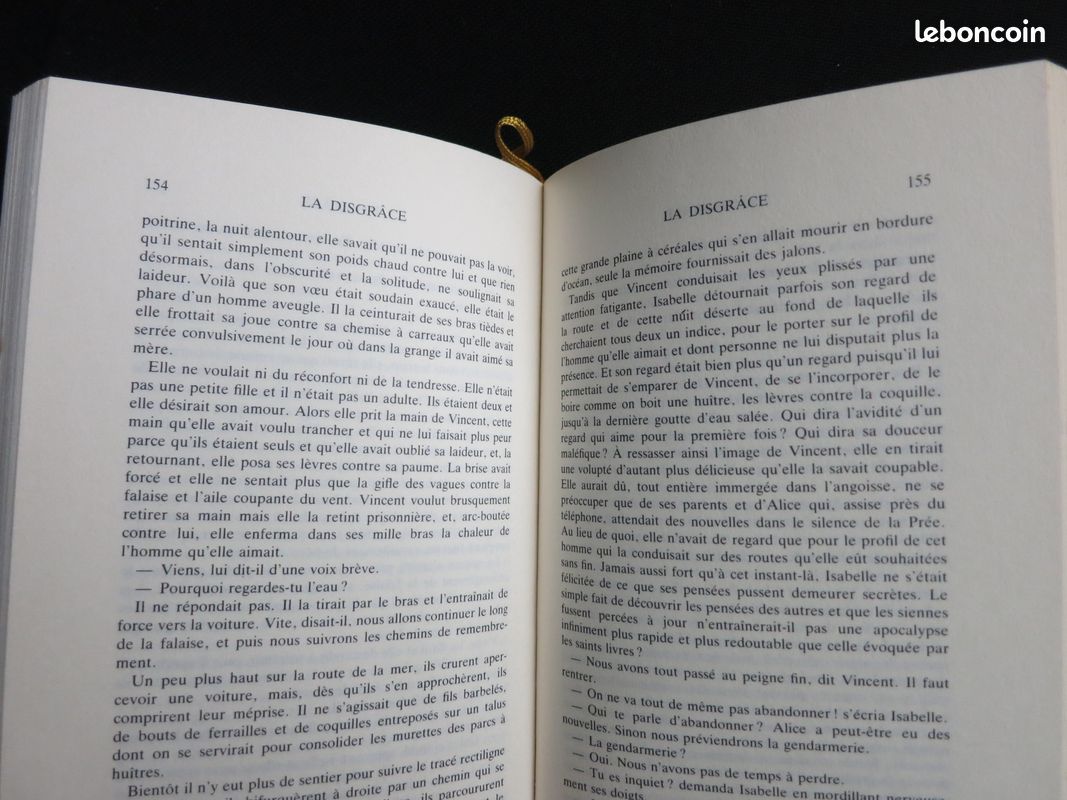 La Disgrâce - nicole avril (image 7)