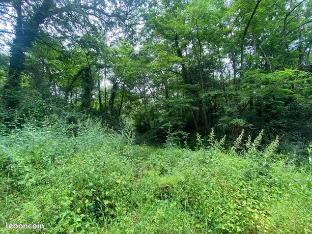 Terrain 2 300 m² Puygaillard De Quercy