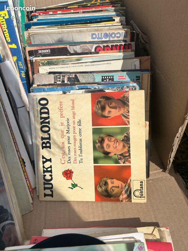 20 vinyles (image 11)