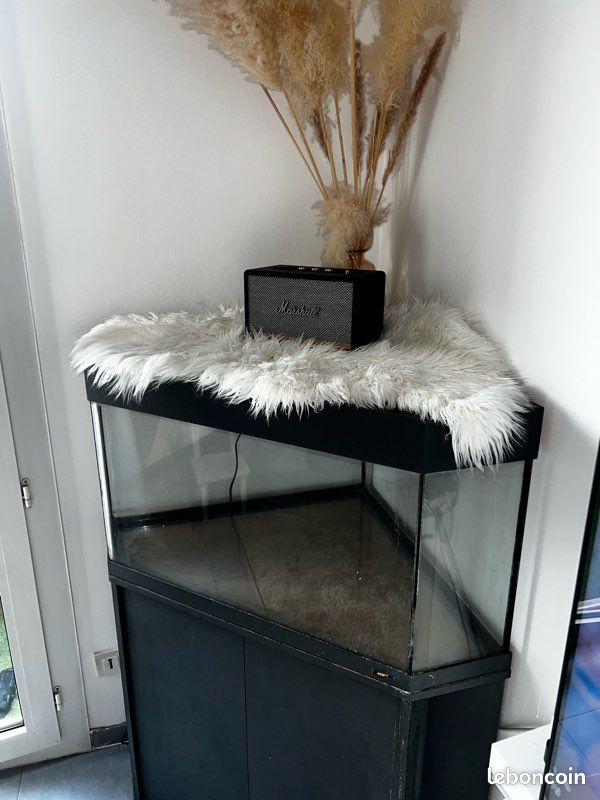 Belle Aquarium d’angle 120litres (image 3)