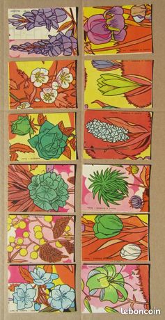Jeu De Cartes Ancien 7 Familles - Thème Plantes, Nature, Écologie - Tous âges
