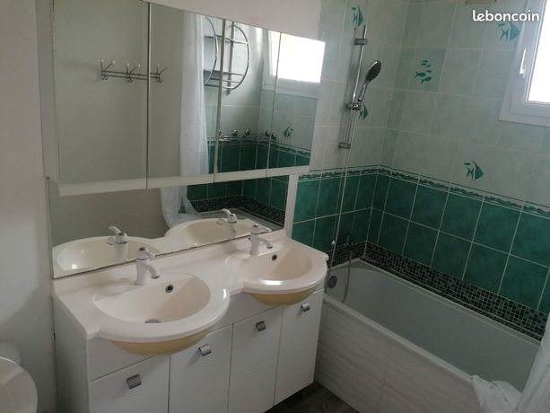 Location maison Allonnes