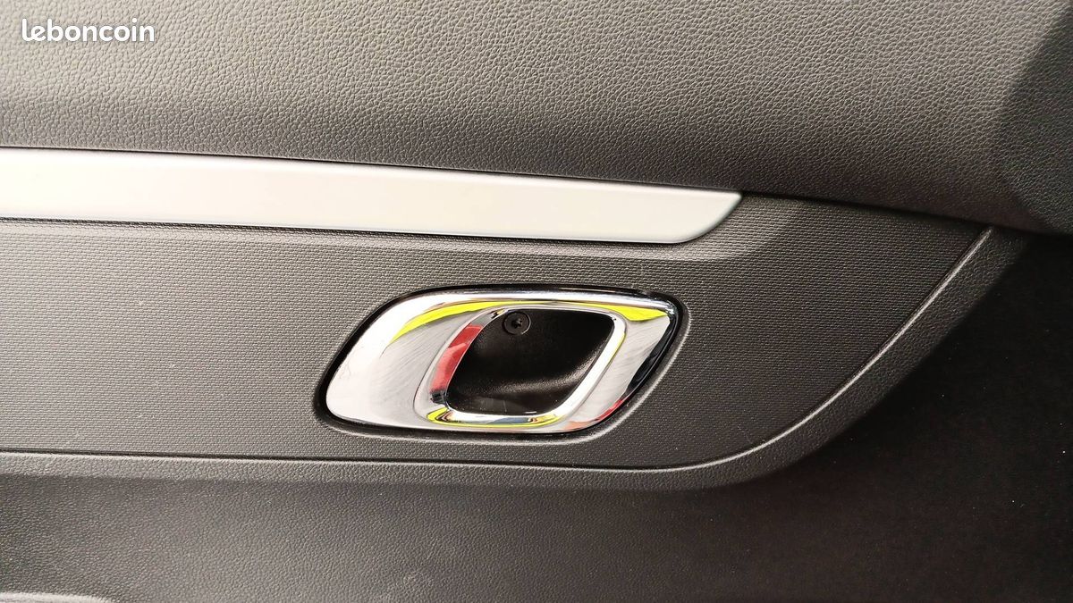 Dacia spring expression (image 17)