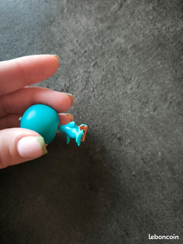 LPS N° 43 - Perruche bleu (image 5)