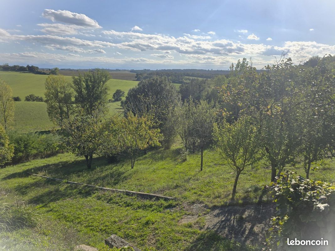 Terrain 3700 m² · à Nailloux · 3 700 m² · 75 000 €