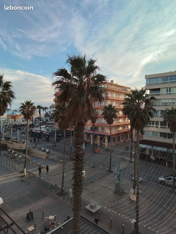50m plage centrale ,animations,marché,vue mer (image 1)