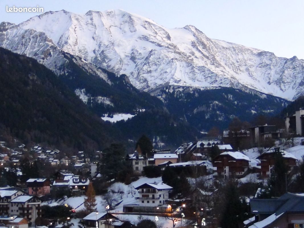 Appartement T2 classé 3*, avec garage, 200 m télécabine, vue Massif du Mont-Blanc (image 10)