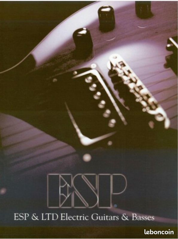 ESP custom The Mirage (image 7)