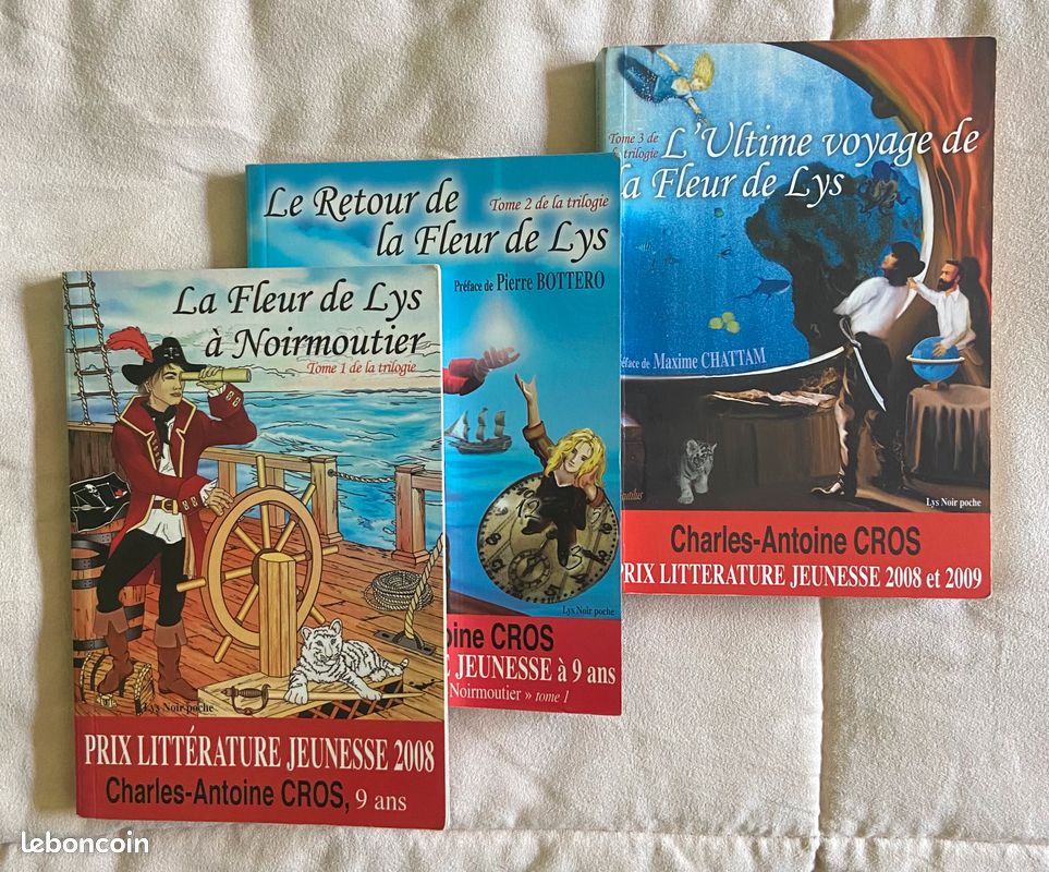 Lot de 8 livres ados (image 4)
