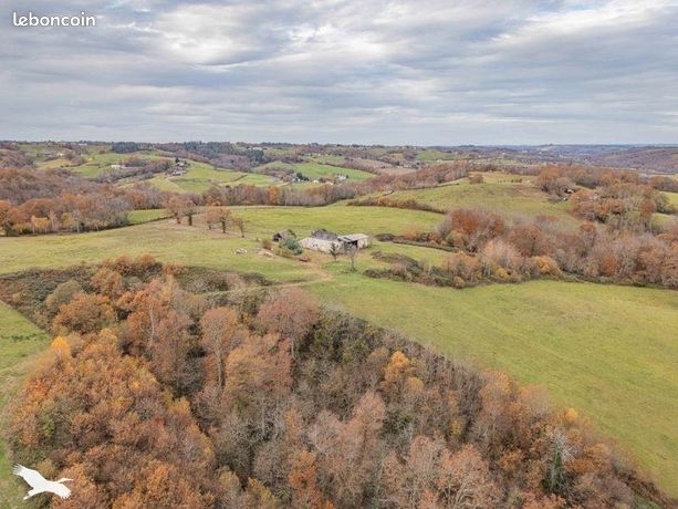 Propriété 1 pièce 230 m²