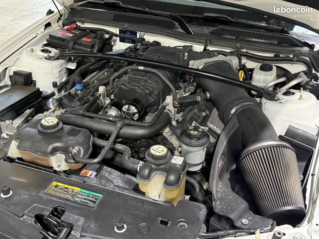 FORD MUSTANG Shelby 500 GT - V8 5.4 - Sièges électriques (image 21)