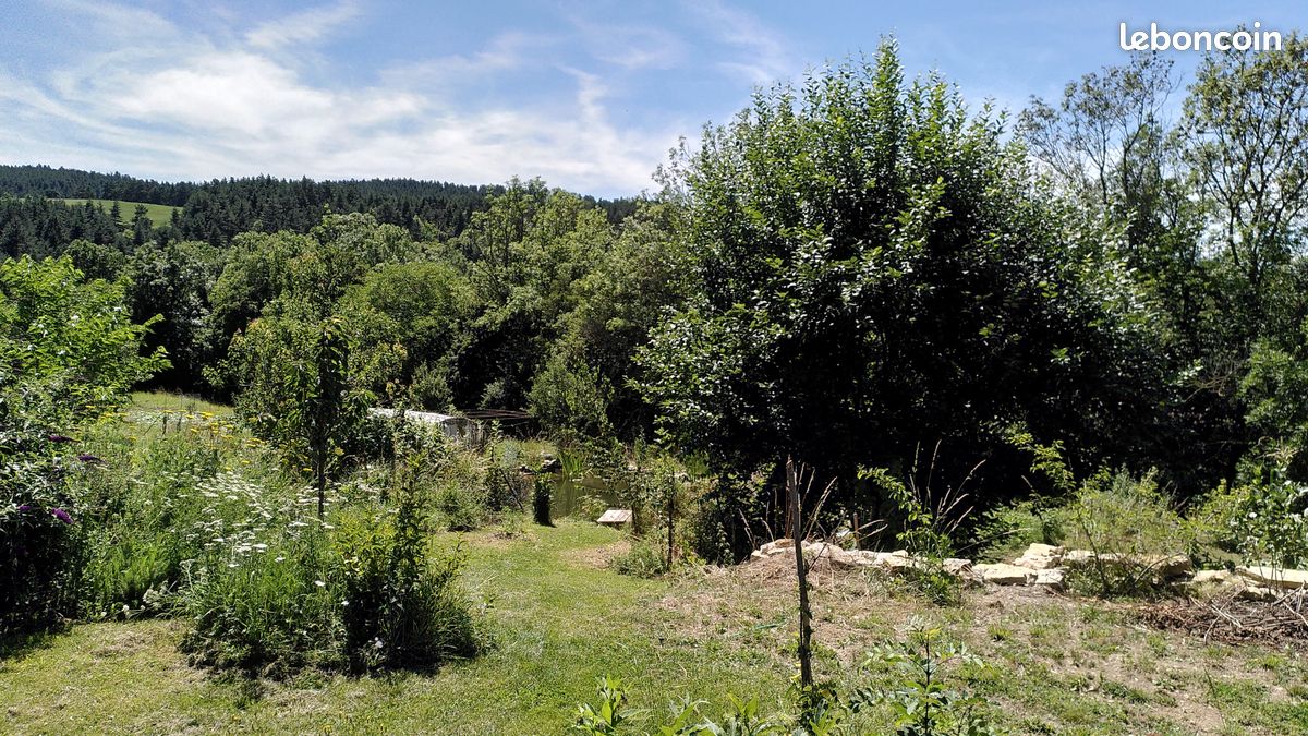 Maison en pierre, jardin et bassin naturel (image 11)