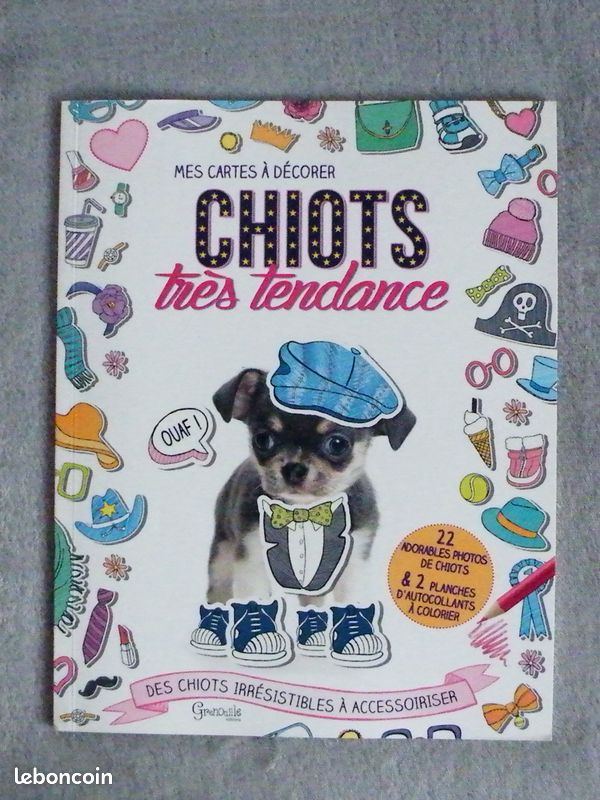 Livre-jeu Chiots très tendance Mes cartes à décorer (image 1)
