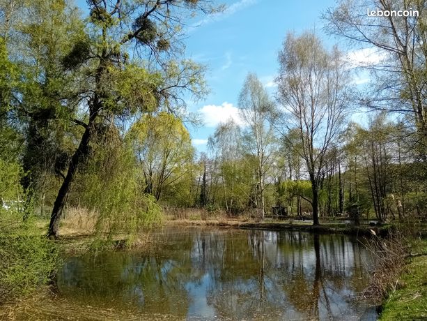 Étang