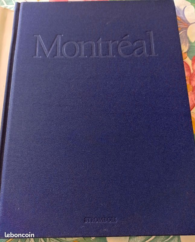 Montréal vu du ciel (image 3)